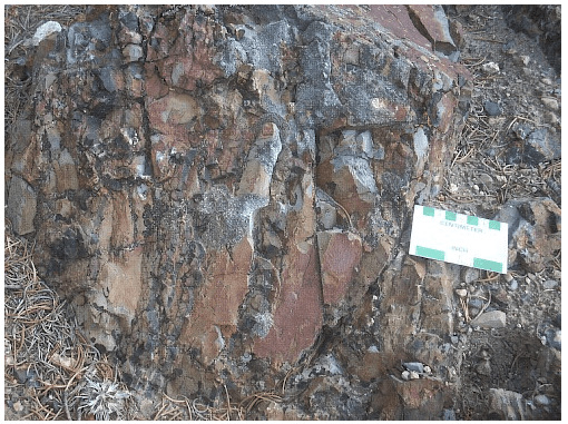 Silicified Ov black shale from megabreccia below detachment fault