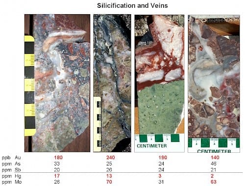 Examples of silicification in drill core